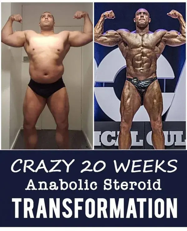 muscletransform.com