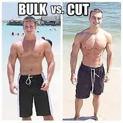 Bulk vs cut