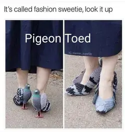 Next time someone says you're pigeon toed...