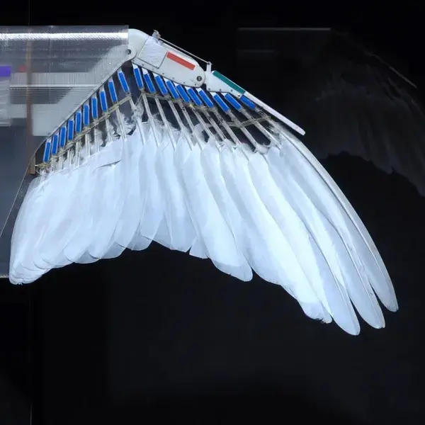 Este robot usa plumas reales para volar