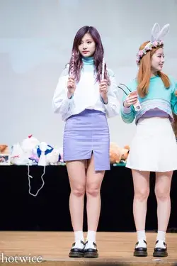 dailytzuyu.tumblr.com