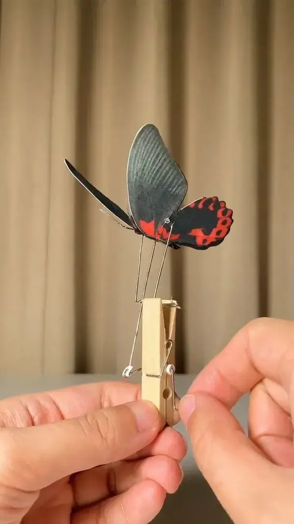 DIY Butterfly