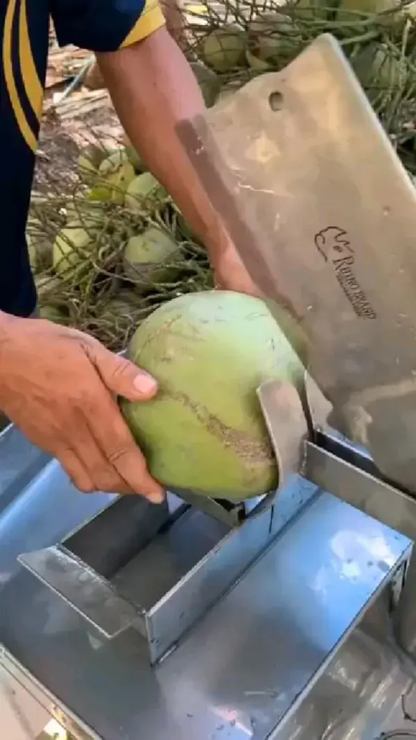 Coconut