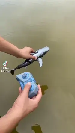 Rc electric shark 🦈