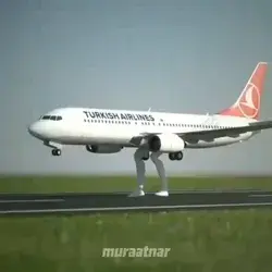 Great Landing 😂😂