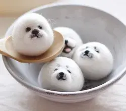 Pomeranian Marshmallows