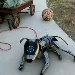 Dog robot