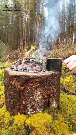 Lamb Chops cooked in Natural Stone 🥩 (Camping Food).