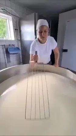 Slicing up the vat of cheese