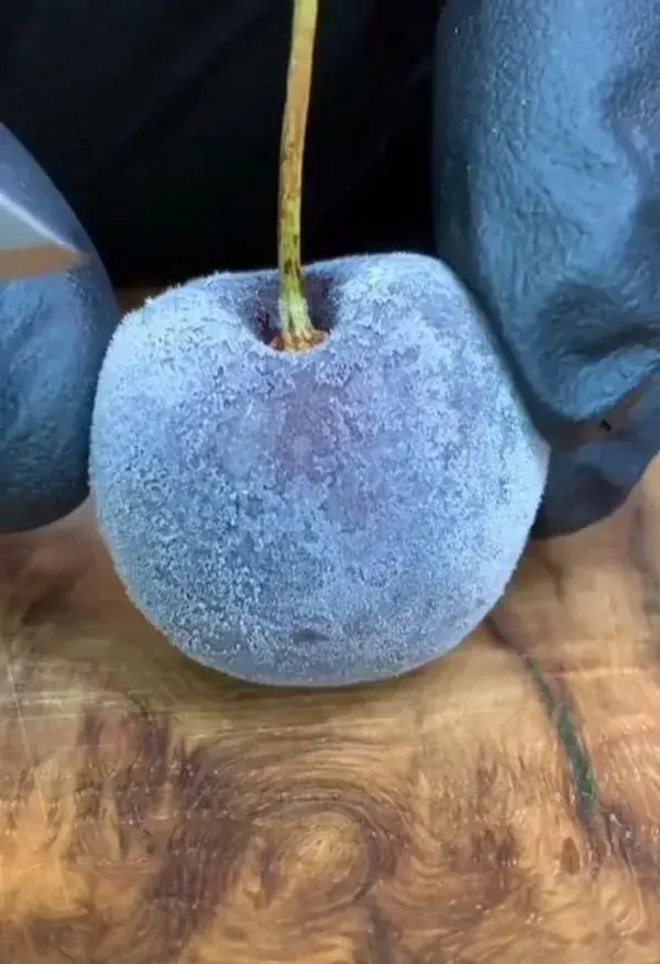 Cutting a frozen cherry.