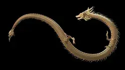 chinese dragon animation loop on infinity Stock Footage Video