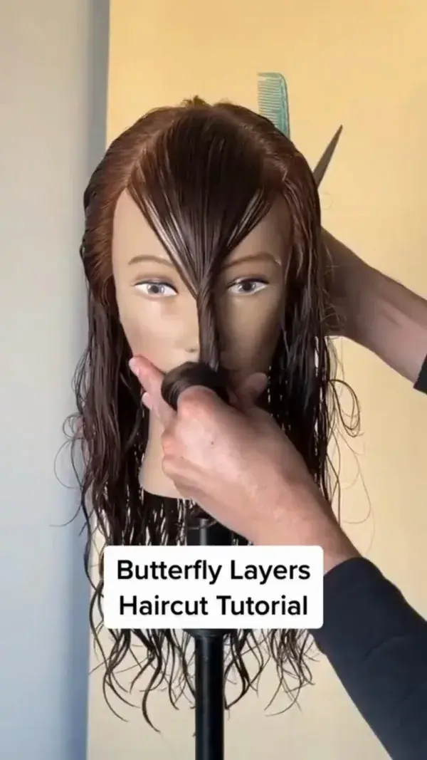 Butterfly layers haircut