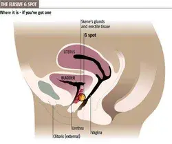 www.newscientist.com