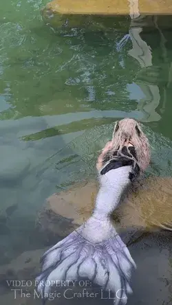 MERMAID SWIMMING UNDER A BRIDGE (Elk Rapids River Sighting 2021)