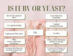 Bacterial Vaginosis vs Yeast Infections