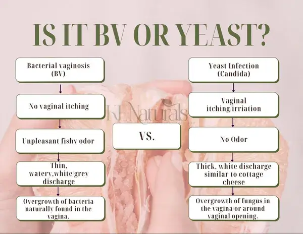 Bacterial Vaginosis vs Yeast Infections