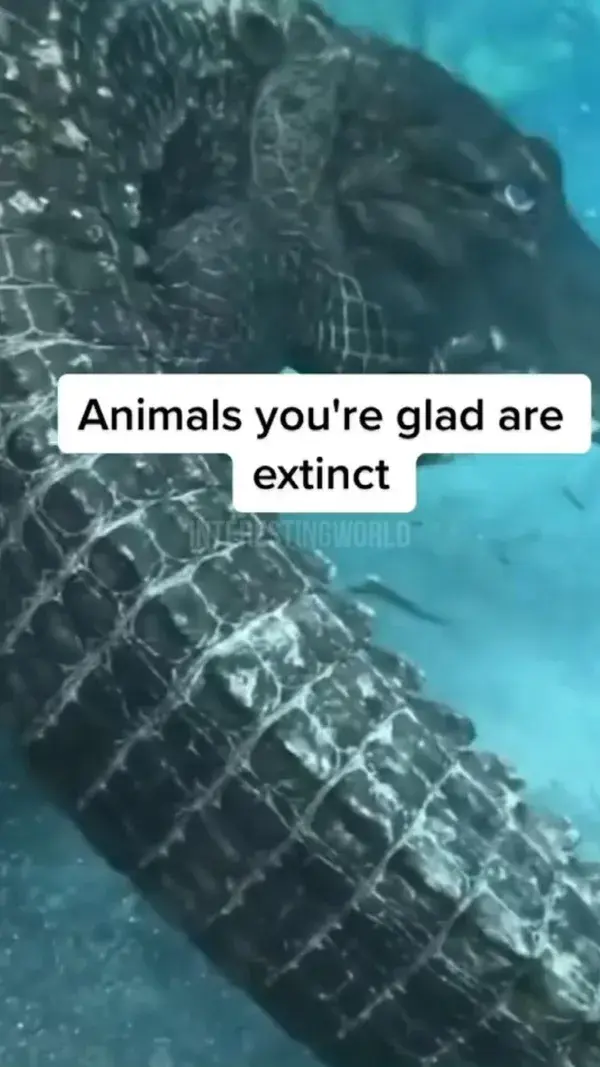 Animals you‘re glad are extinct 🤯