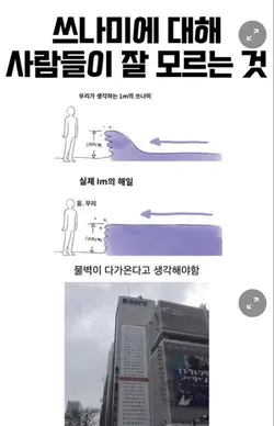 직접 키우는 튤립이 너무 무섭다는 디시인.jpg