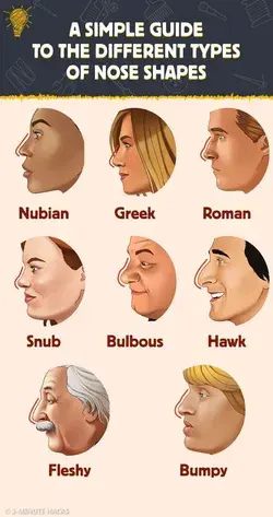 A Simple Guide to the Different Types of Nose Shapes