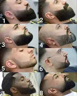 Beard lineup 