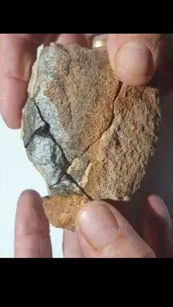 Hidden beauty in this rock