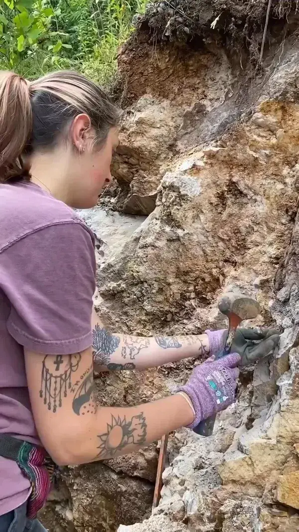 Liz's excavation success! A beautiful pocket boasting diamond quartz, baryte, and siderite— ✨