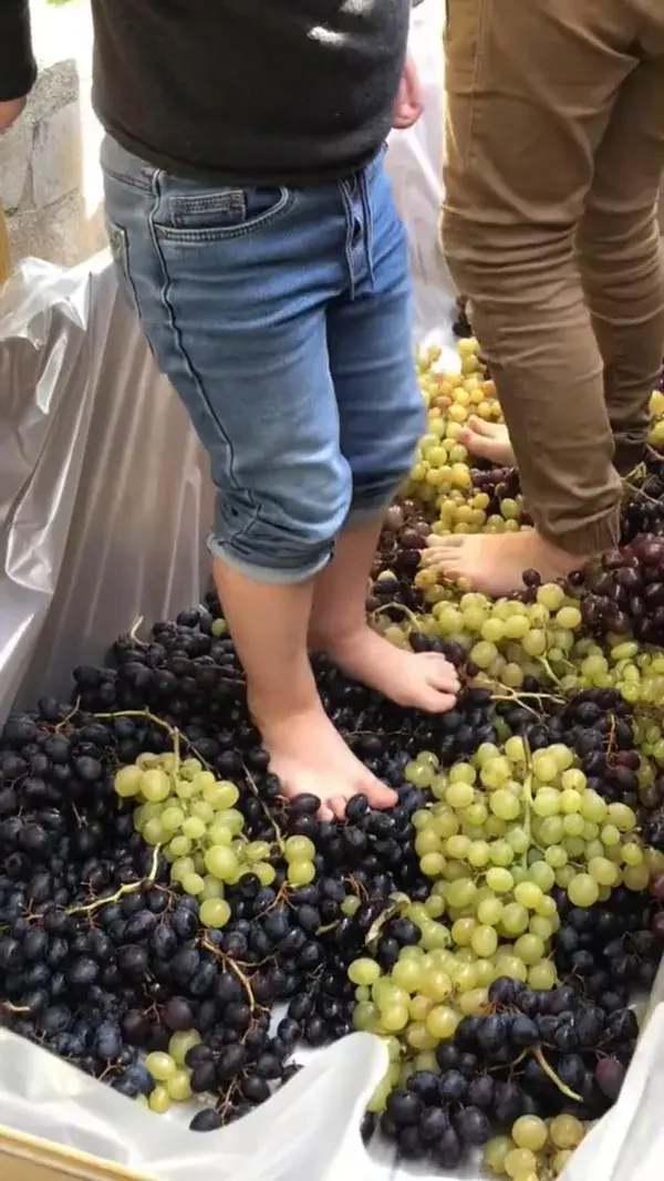 Georgian Culture 🍇