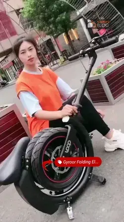 Folding Electric Bike for Adults Teens