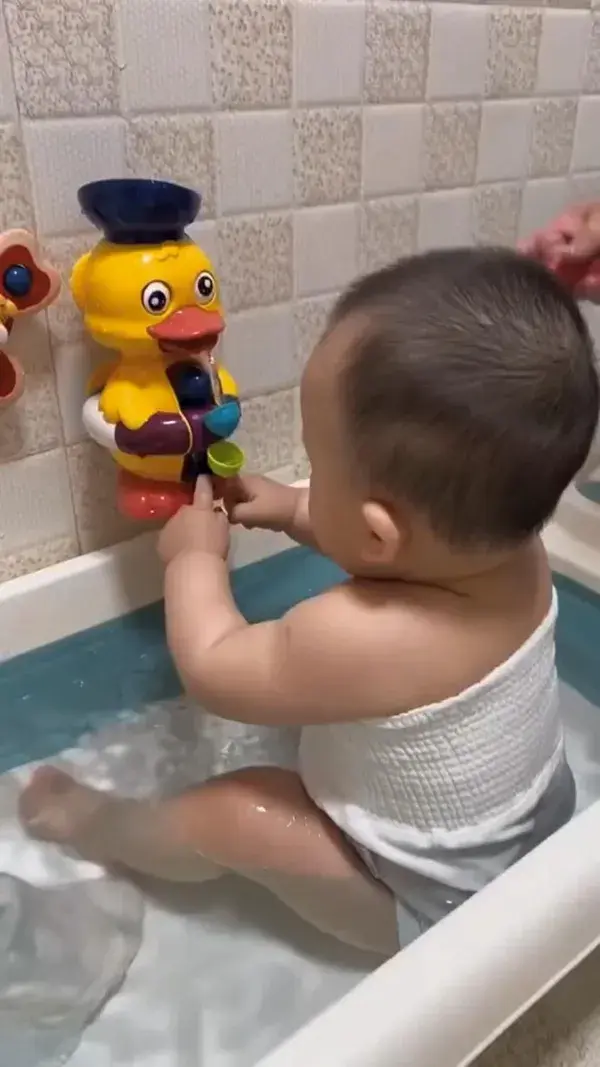 Bathing Toy