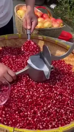 Manual juice Machine, Hand Press Juice Machine Manual juicer for pomegranate juice