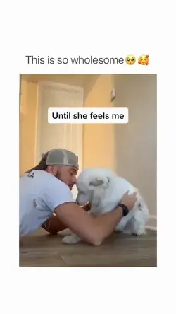 Deaf dog love