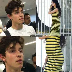 Memes Shawmila 