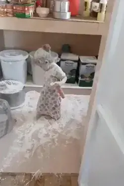 Baby Ghost In the kitchen Funny baby memes, Funny videos for kids, Baby memes