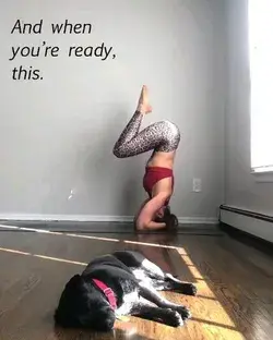 video for yoga lovers