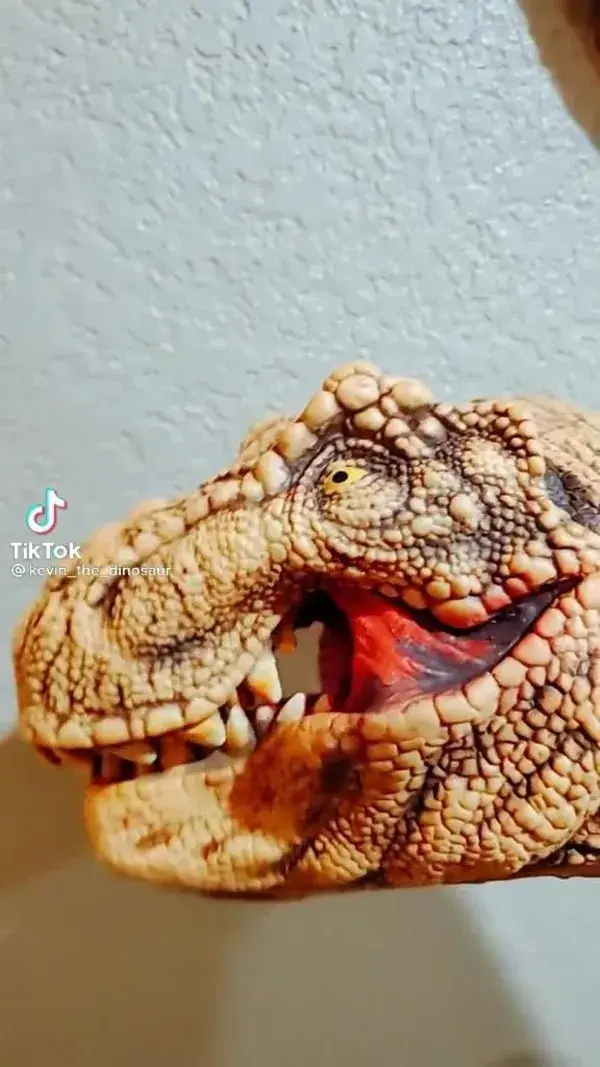 @kevin_the_dinosaur on tiktok | Dinosaur in jurasissyparak 😂