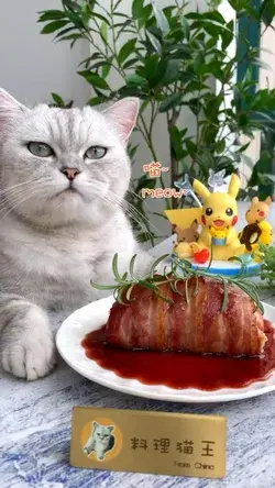 Is the food in animation really delicious? The cat chef makes it for you