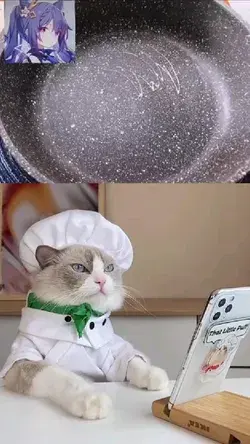 funny cat cooking videos