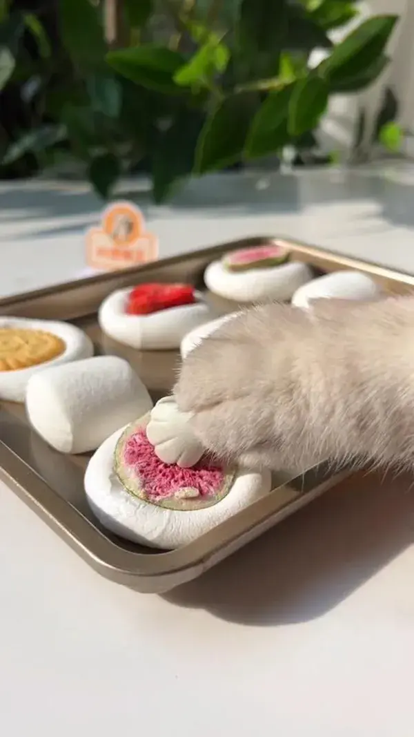 Biscuits made of cotton candy are delicious and beautiful