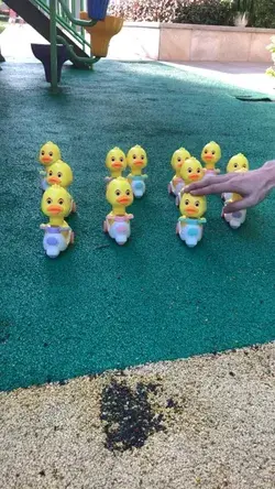 Duckling toys for children