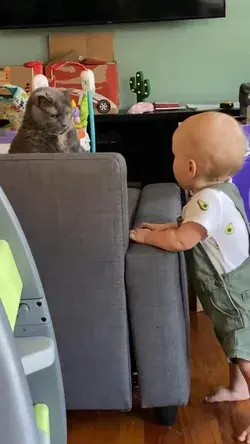 The cat did not want the baby😂 |Baby and kitty funny video😋(Watch till end)