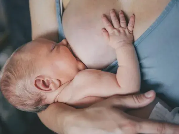 ¿Qué son las glándulas de Montgomery y qué debemos tener en cuenta si damos el pecho?