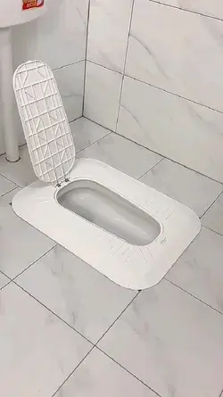 Amazon Toilet  must have