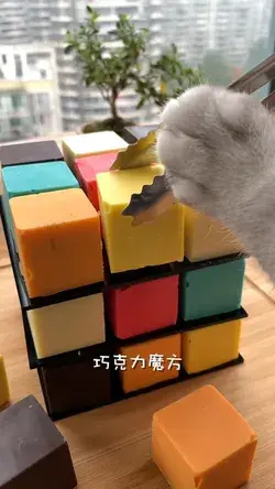 Chocolate Rubik's Cube