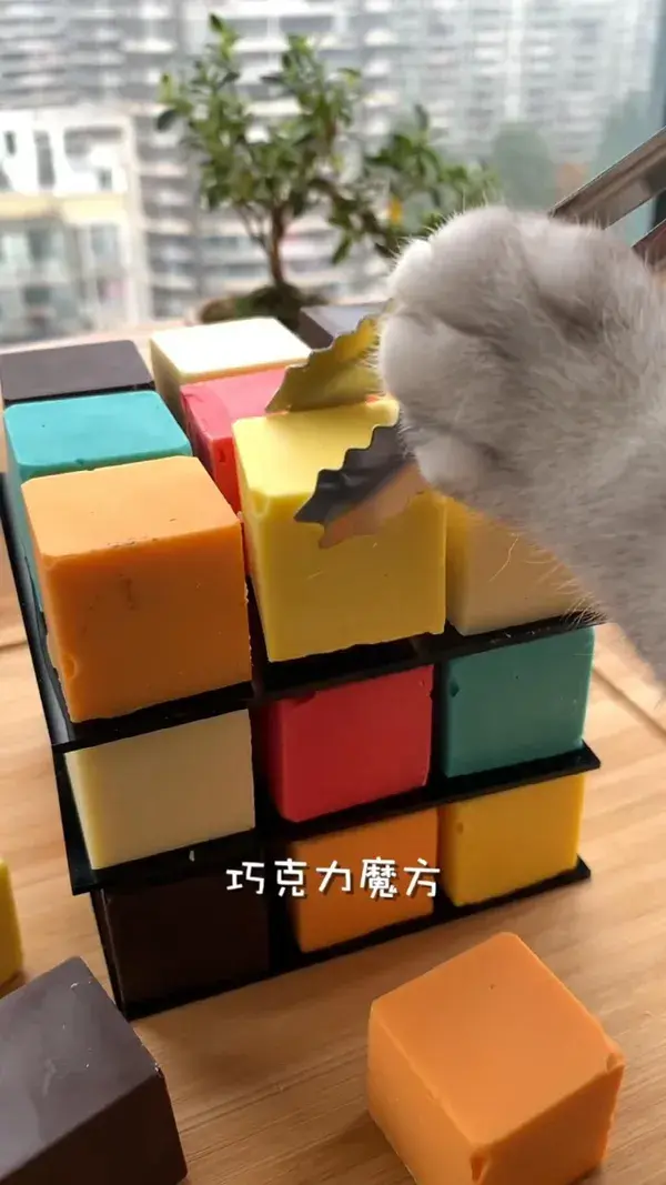 Chocolate Rubik's Cube