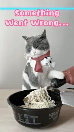 Cat Life Hack: How Do You Eat Instant Noodles?