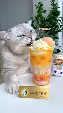 Chef Cat made a drink that is very popular in China