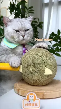 Yummy! Cat Makes An Ice Cream Cow Fom Cantaloupe | Food Art Challenge | Cat Cooking