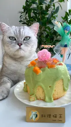Making cake is very simple, because cats can do it