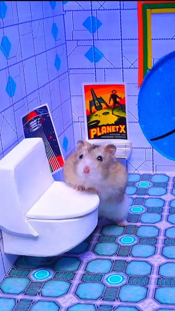 Hamster Escapes the Moon Maze