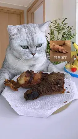 The fried chicken cooked by the cat chef，but···